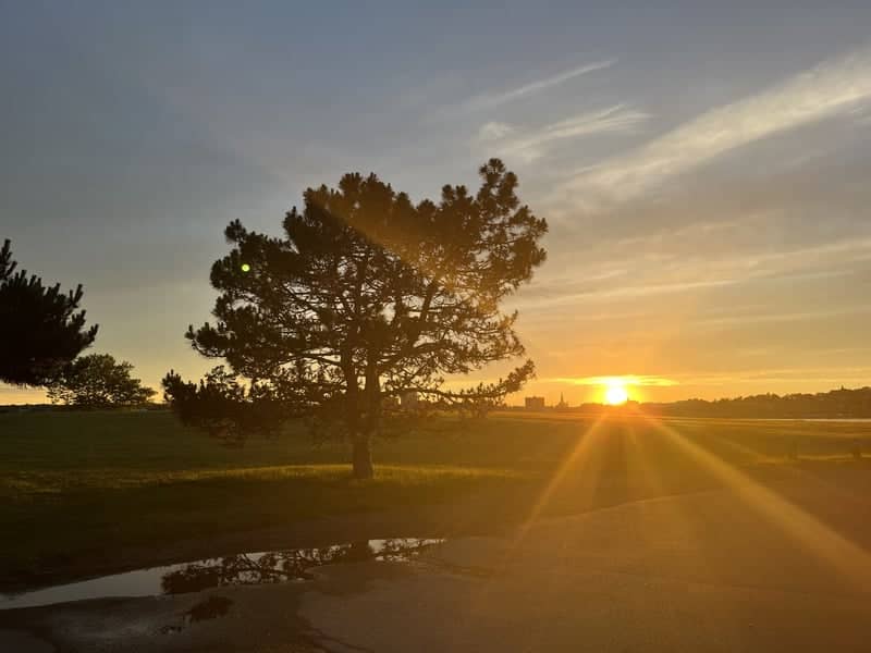 Bug Light Park - Image 1