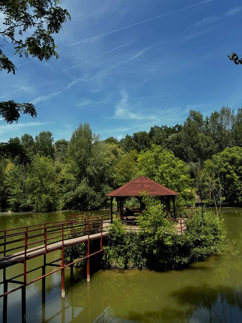Pădurea Verde Pond Gazebo - Image 1