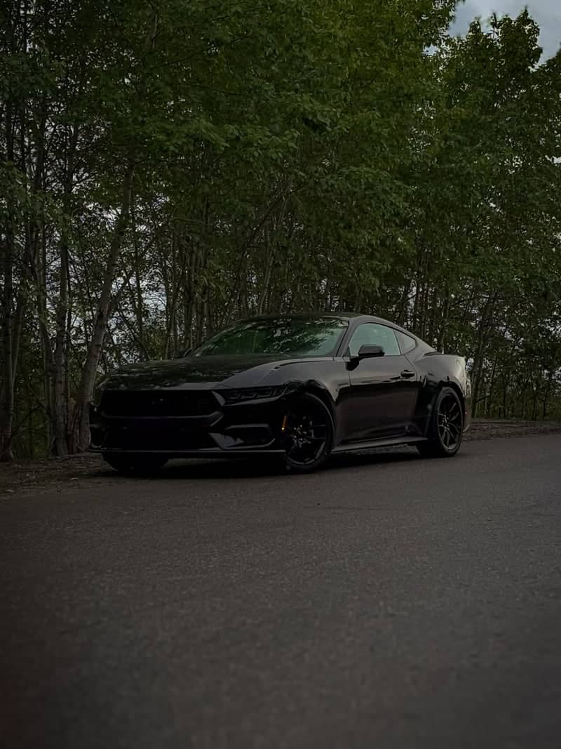 Dominion Boulevard Forest Drive - Image 1