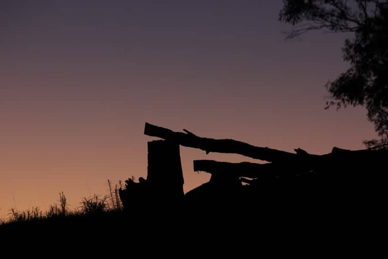 Murray River Twilight Silhouette - Image 1