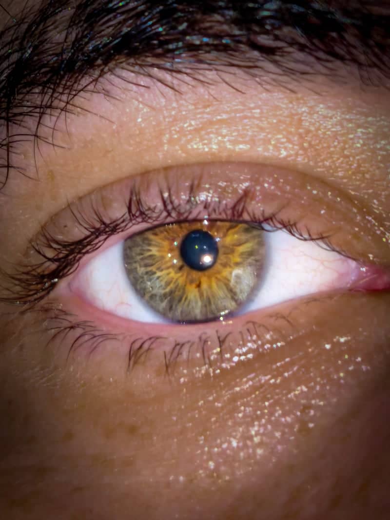 Macro Eye Detail - Image 1