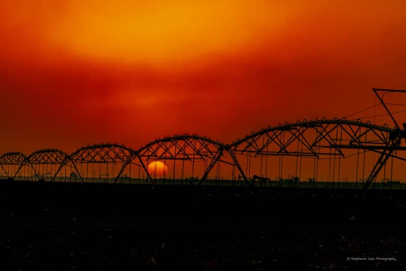 West Texas Farmland Sunset - Image 1