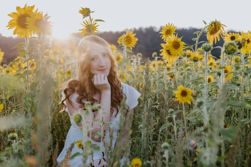 Duvall Sunflower Fields - Image 1