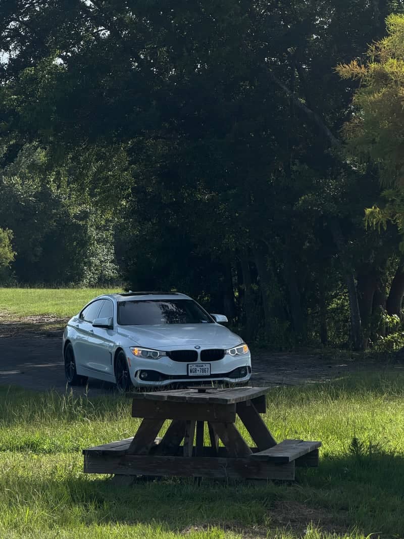 Wooded Countryside Drive - Image 1