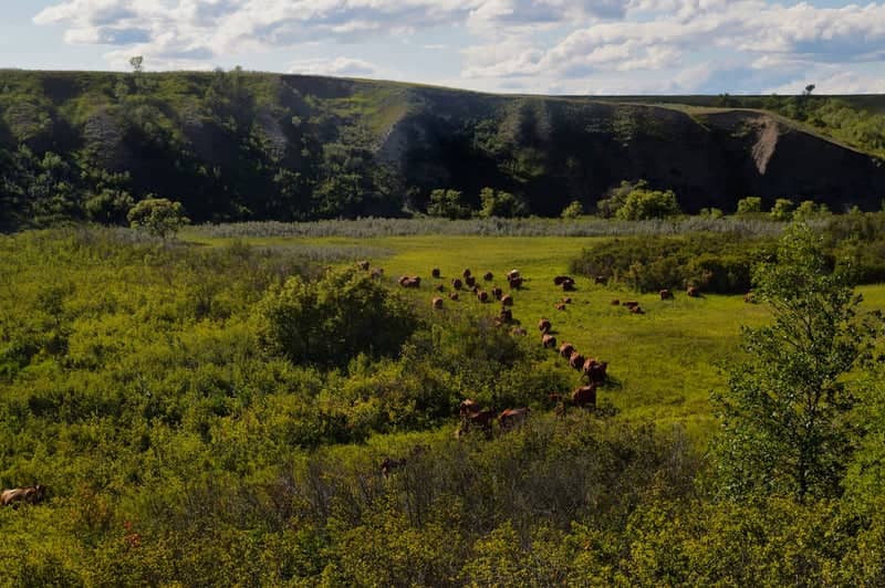 Wascana Valley Overlook - Image 2