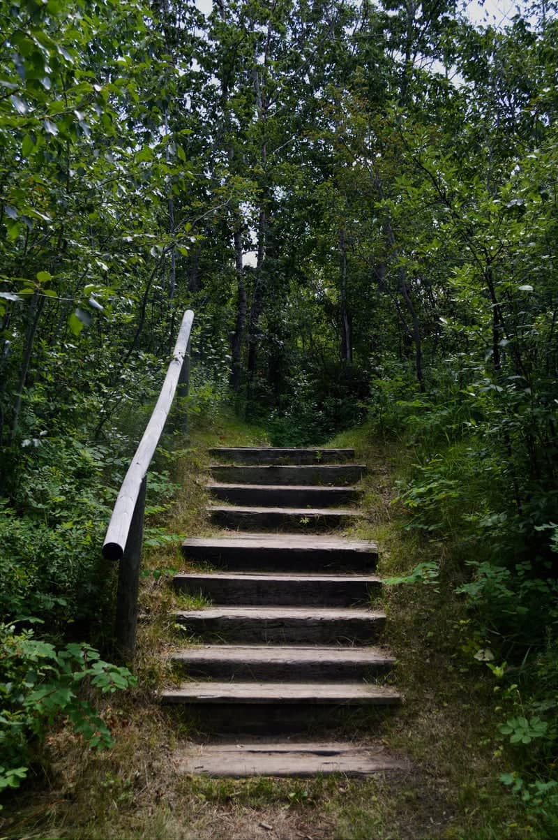 Chief Whitecap Park Trail - Image 2
