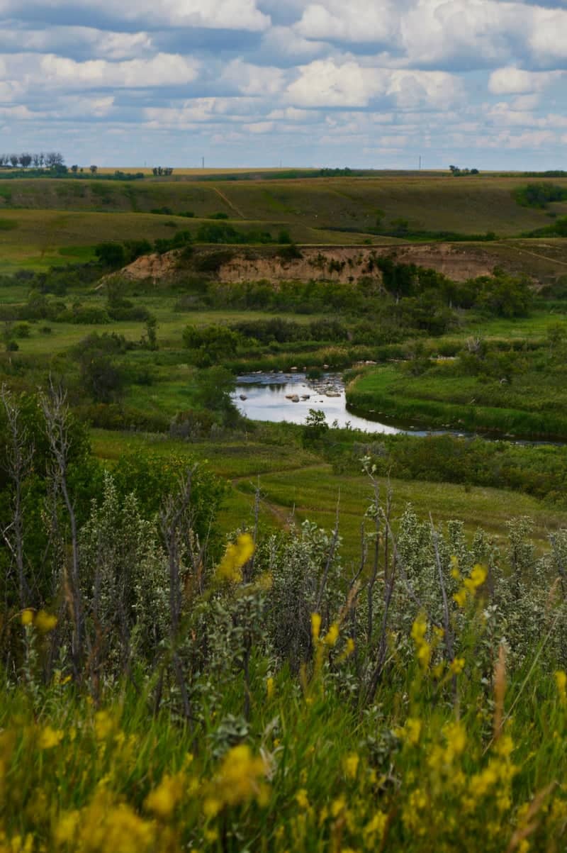 Wascana Valley Overlook - Image 3