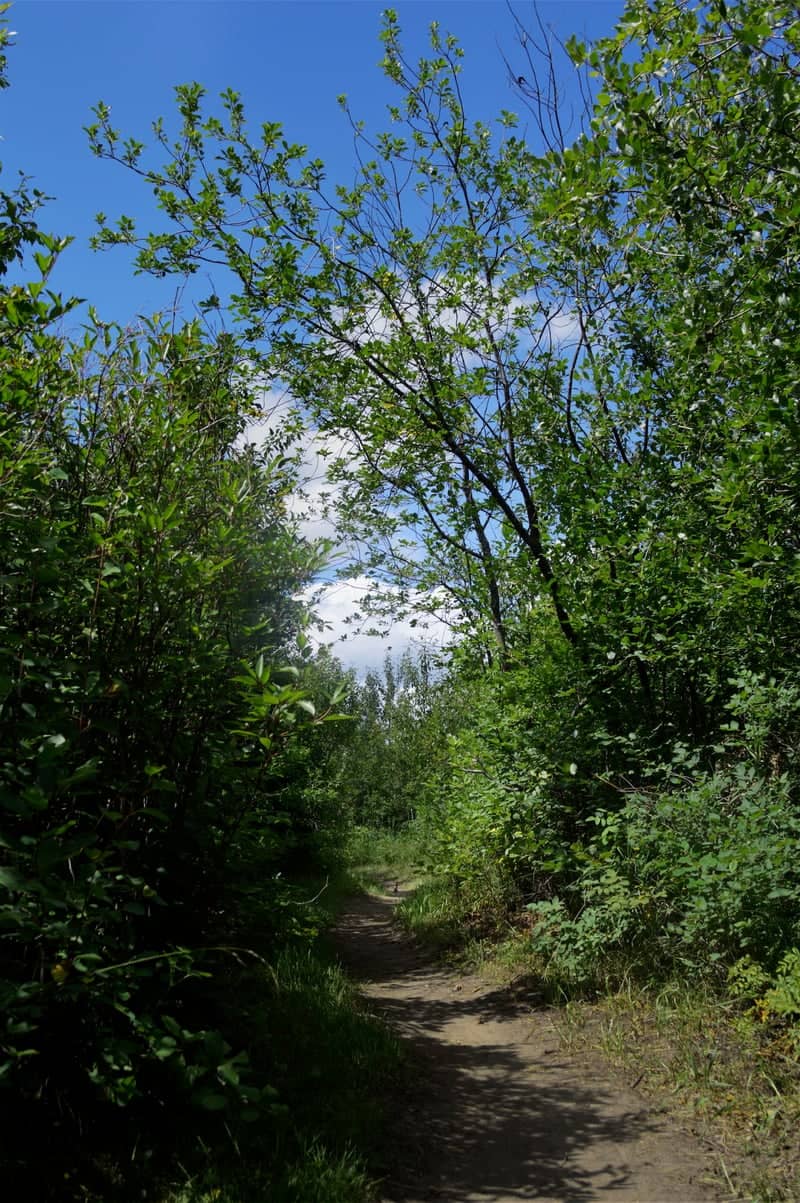 Chief Whitecap Park Trail - Image 3