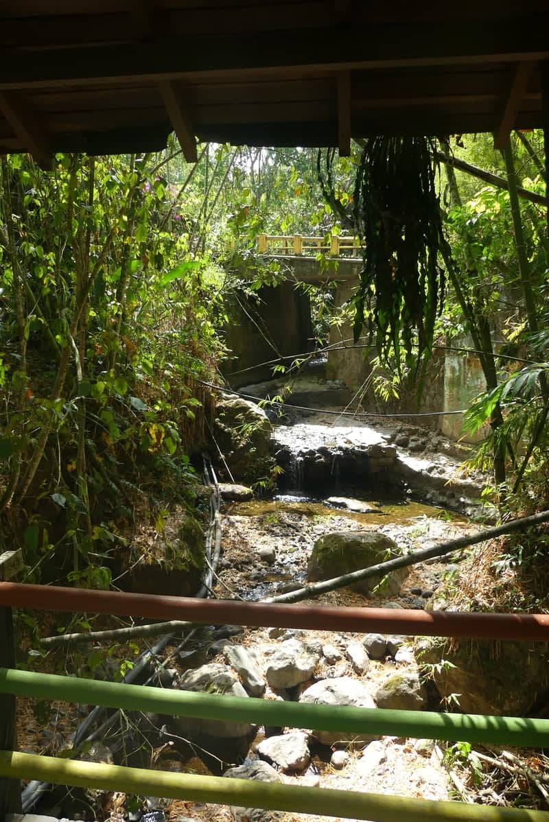 Venecia Tropical Stream Overlook - Image 1