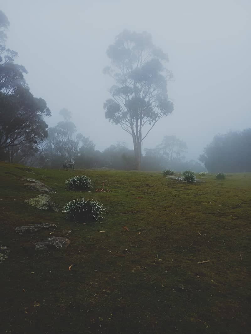 Mount Nelson Signal Station Reserve - Image 1