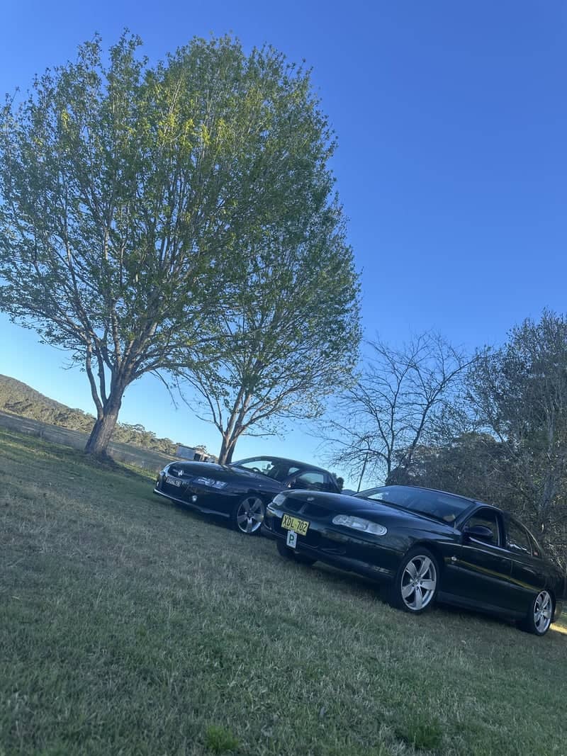 Mandalong Valley Roadside - Image 1