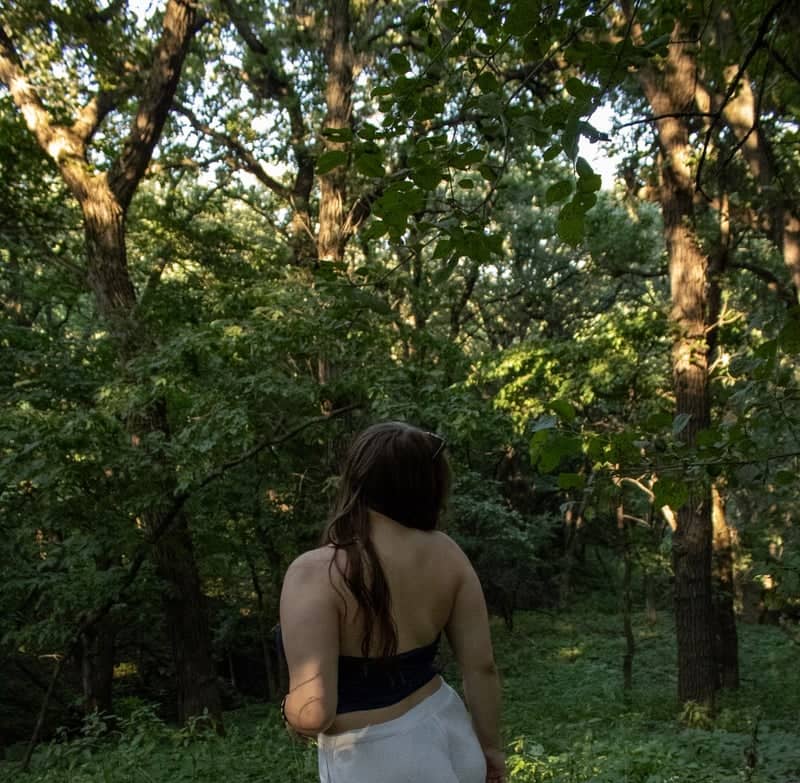 Good Earth State Park Forest - Image 1