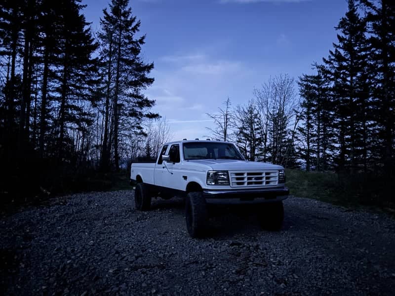 Amboy Forest Road - Image 1