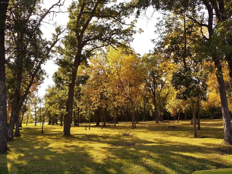 Northland College Campus Woods - Image 1