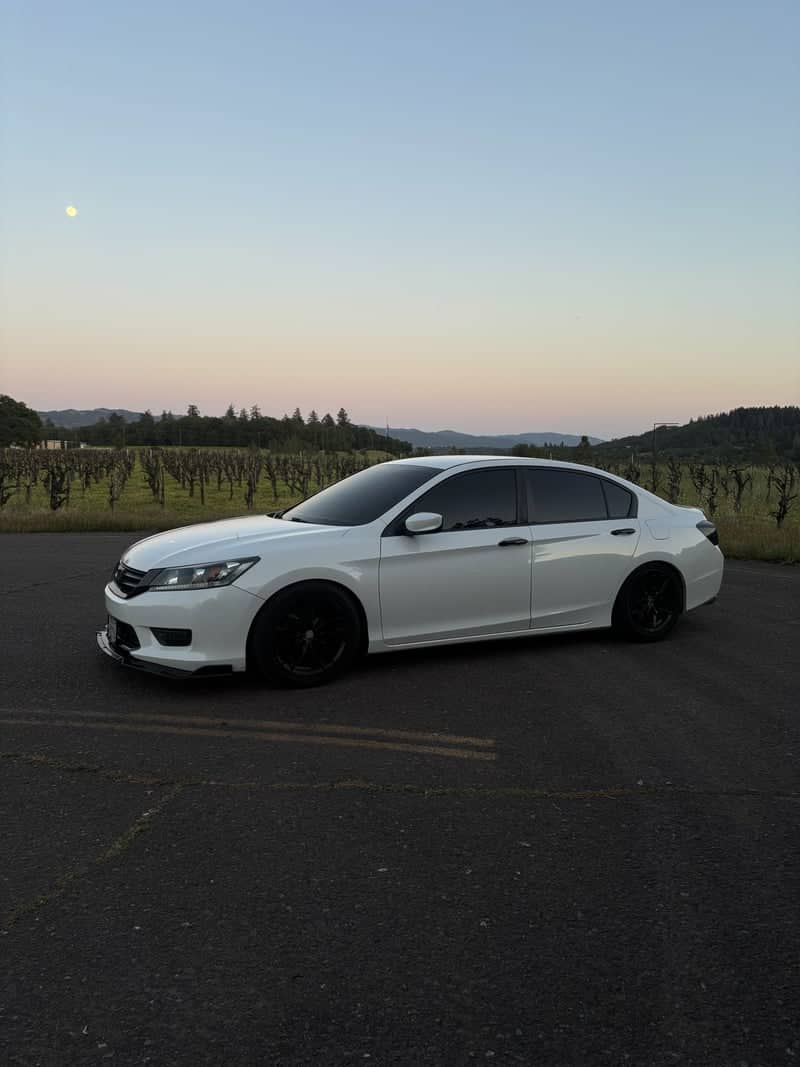 Redwood Valley Vineyard Overlook - Image 1