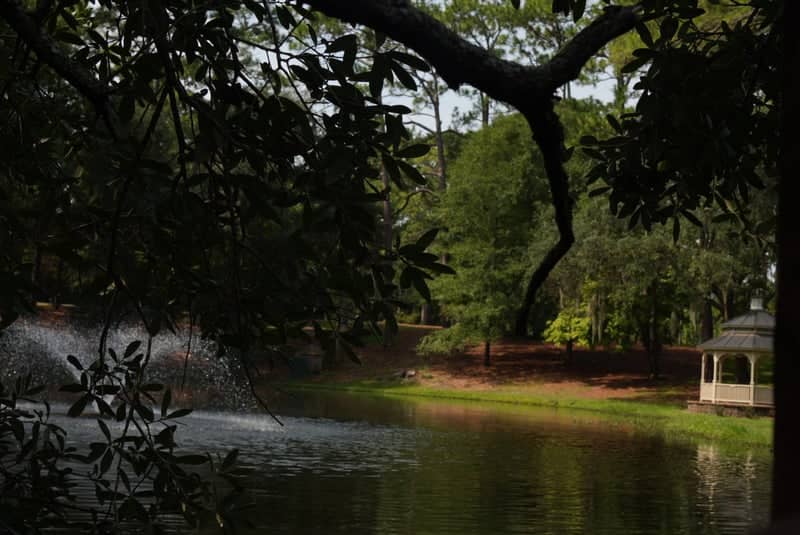 Long Leaf Hills Pond & Gazebo - Image 1