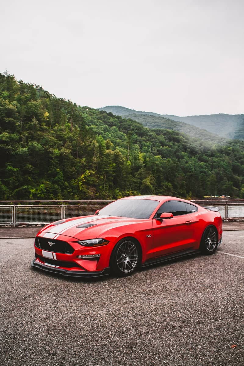 Tail of the Dragon Overlook - Image 1