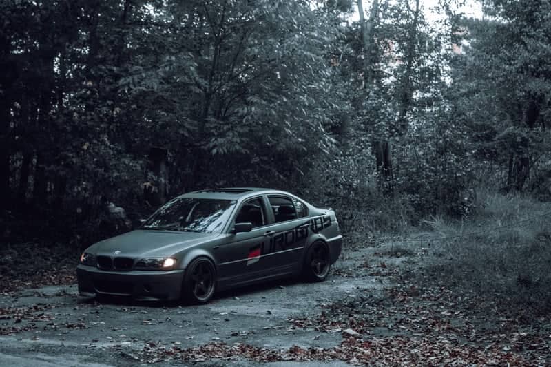Wooded Driveway in Laurel - Image 1