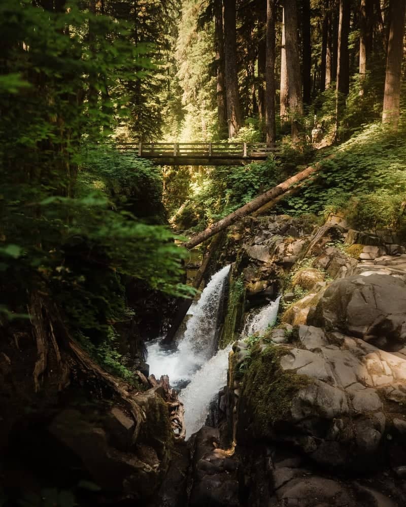 Sol Duc Falls - Image 1