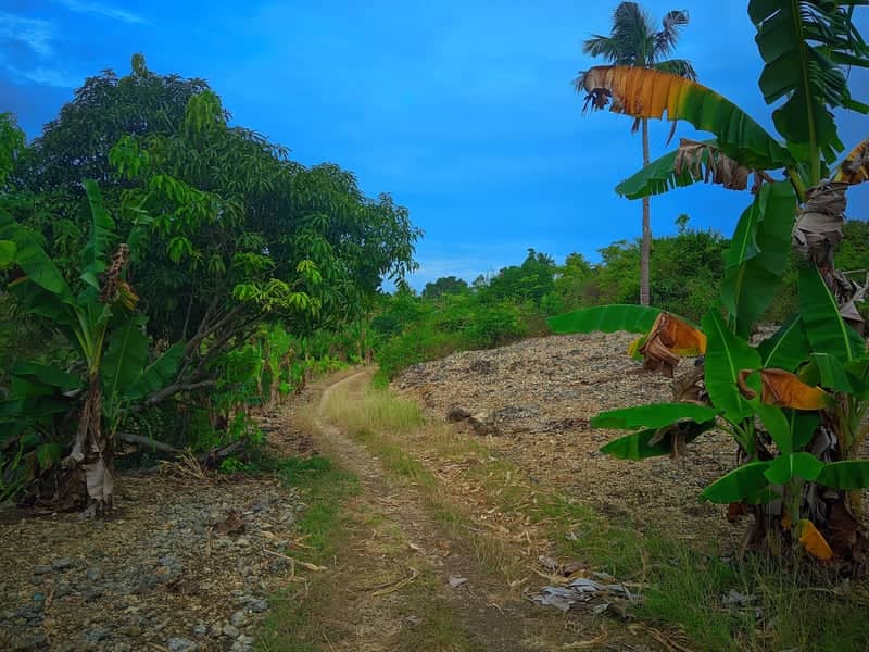 Dumanjug Countryside Path - Image 1