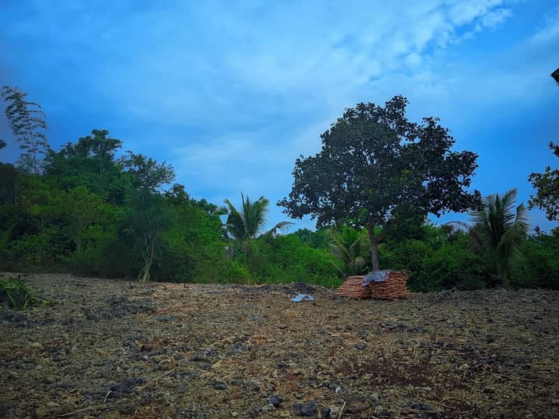 Dumanjug Countryside Path - Image 2