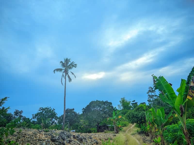 Dumanjug Countryside Path - Image 1