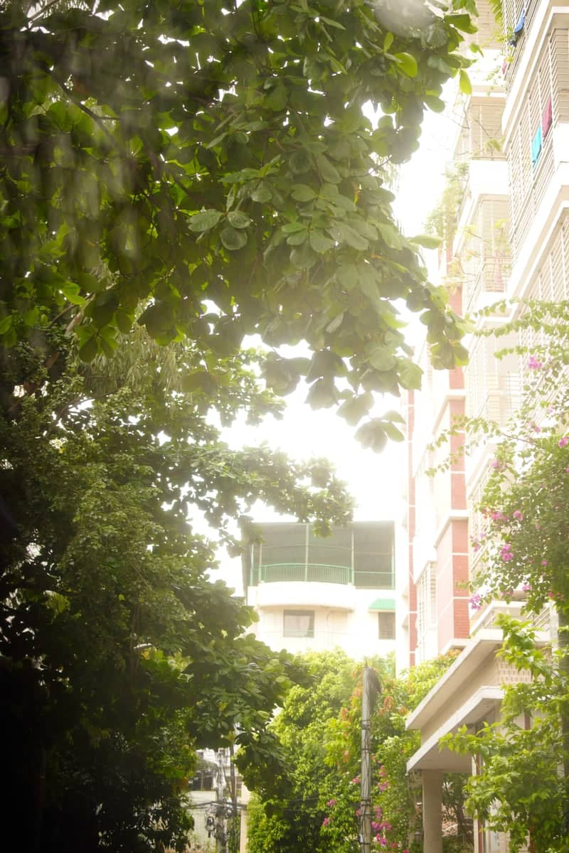 Green Residential Street in Dhaka - Image 1