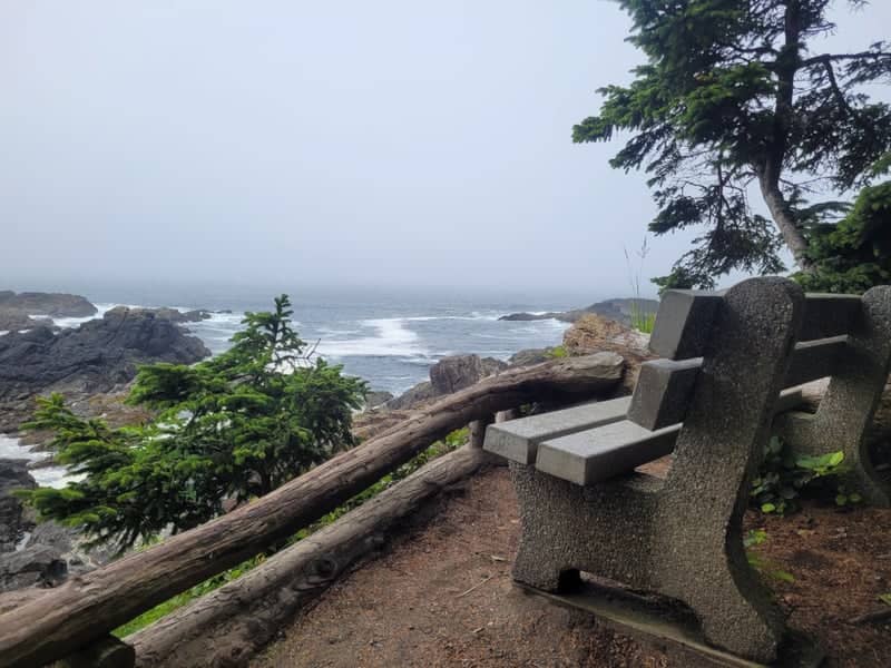 Pachena Bay Coastal Viewpoint - Image 1