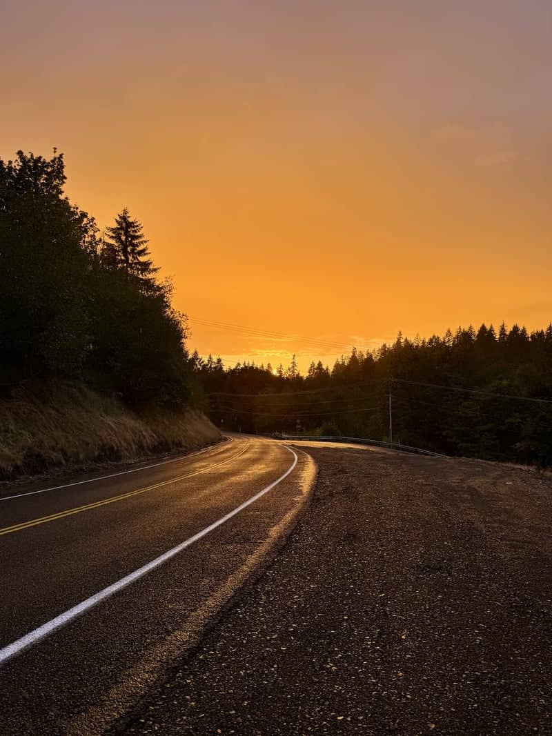 Kalama Forest Road Sunset - Image 1