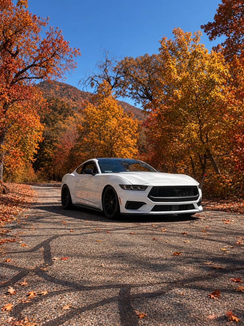 Oak Glen Road Fall Foliage - Image 1