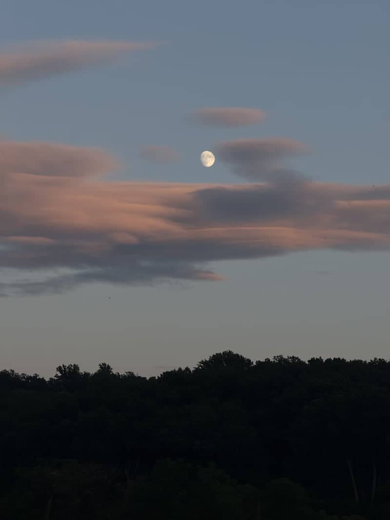 Annville Valley Treeline - Image 1