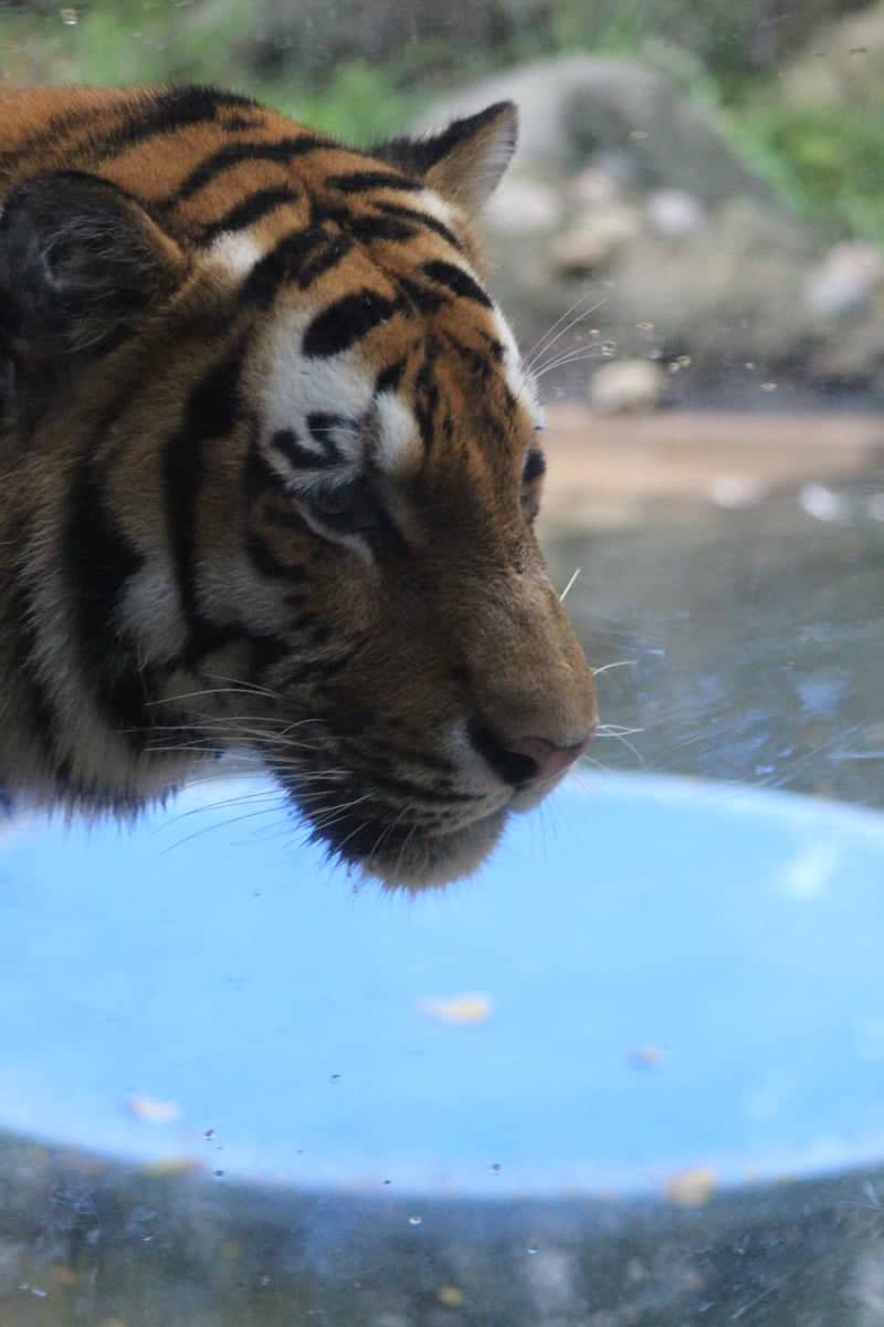 Columbus Zoo and Aquarium - Image 1