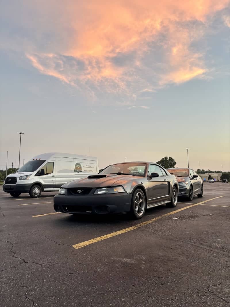 Brightleaf Boulevard Sunset Spot - Image 1