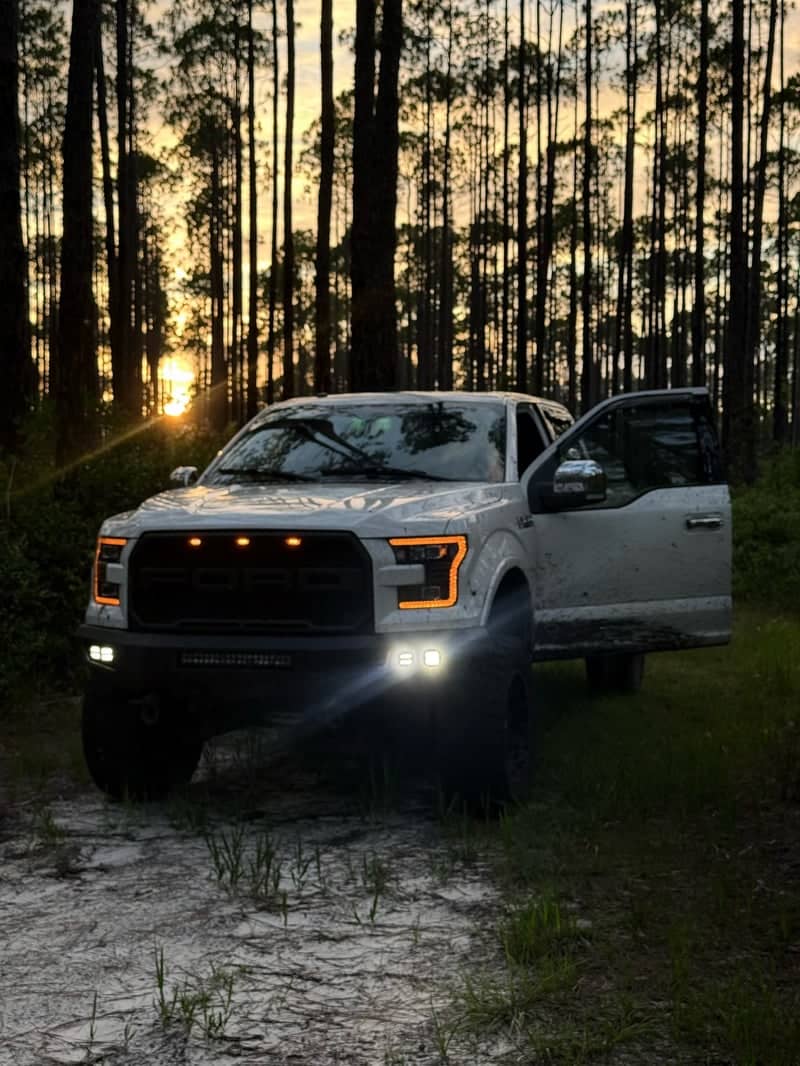 Osceola National Forest Pine Trails - Image 1