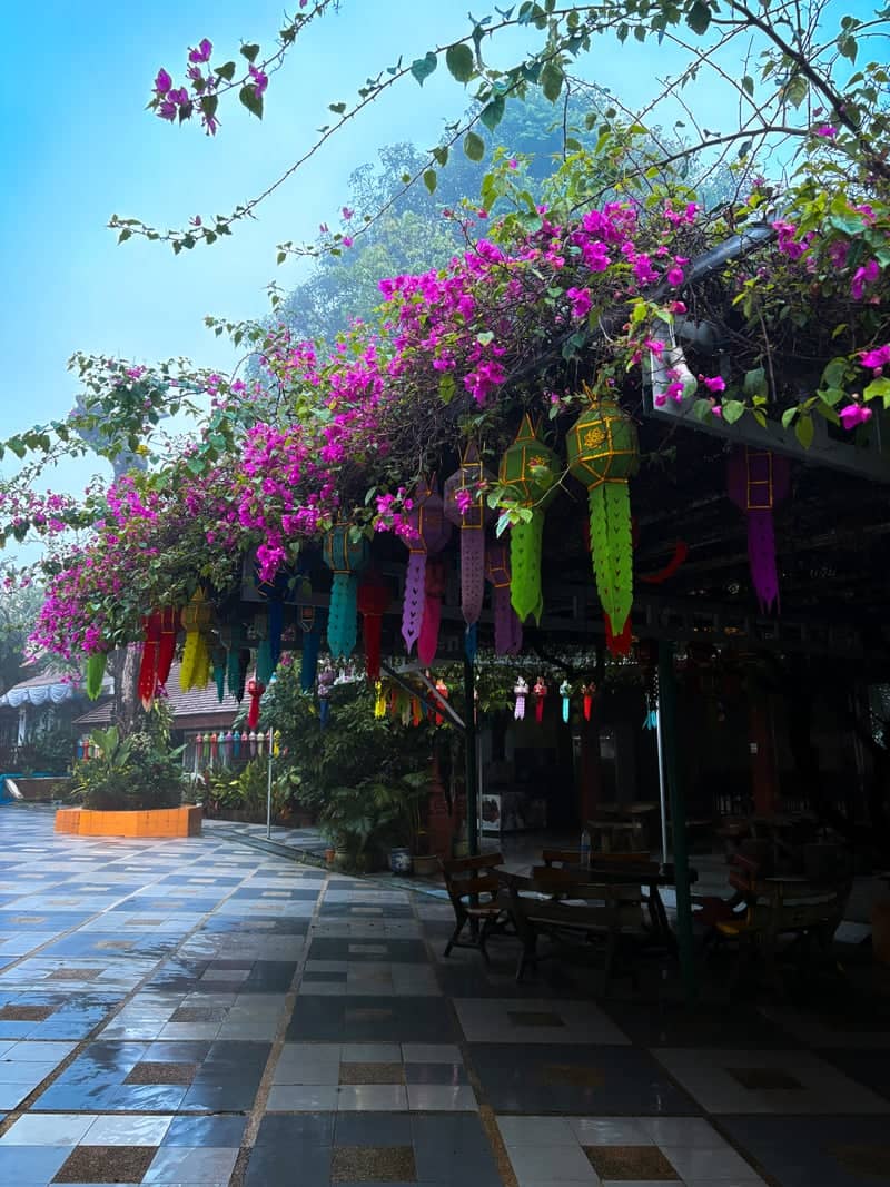 Wat Umong Lantern Courtyard - Image 1
