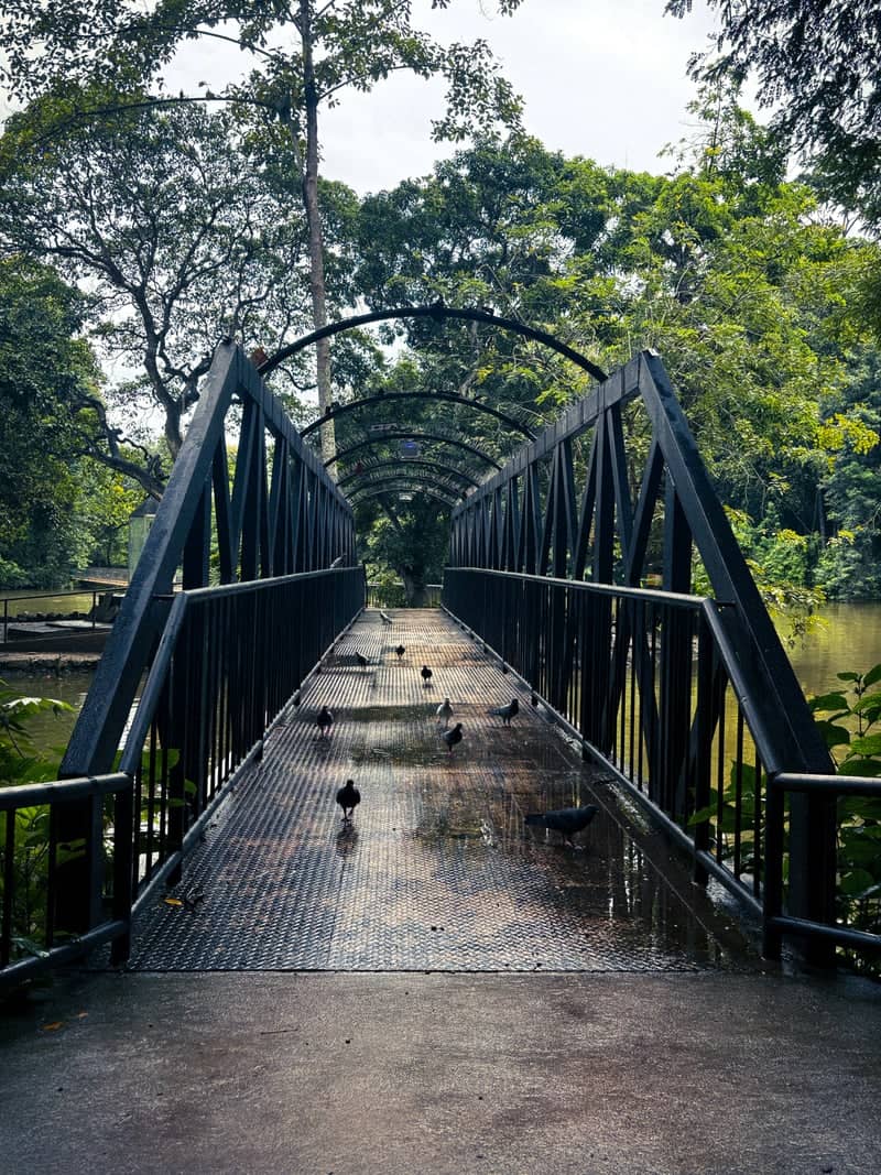 Somdet Phra Srinagarindra Park Bridge - Image 1