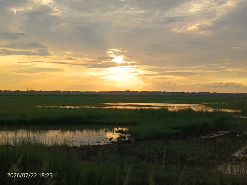 Mehdawal Rural Wetlands - Image 1