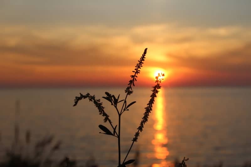 Lake Erie Bluff at Painesville - Image 1