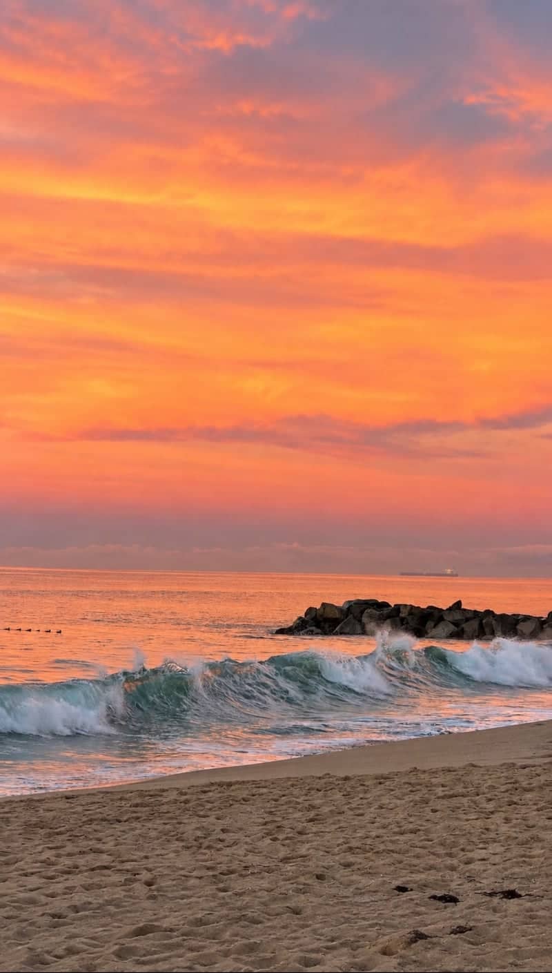 Madison Shoreline Sunset - Image 1