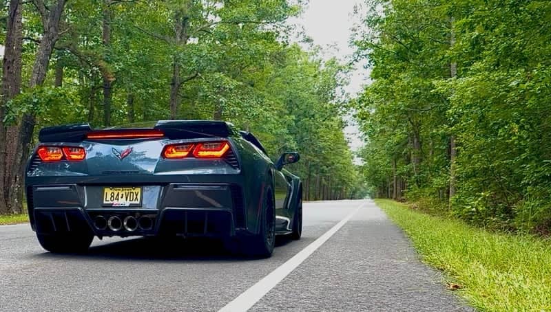 Atsion Forest Road - Image 1