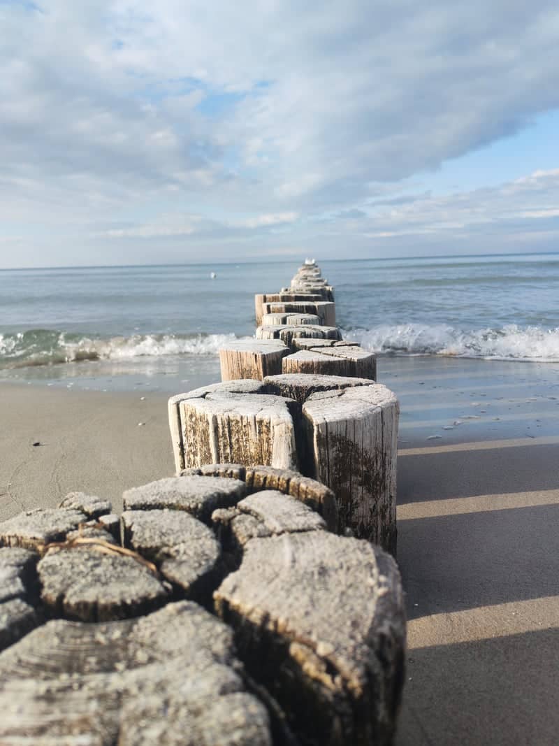 Zingst Beach Groynes - Image 1