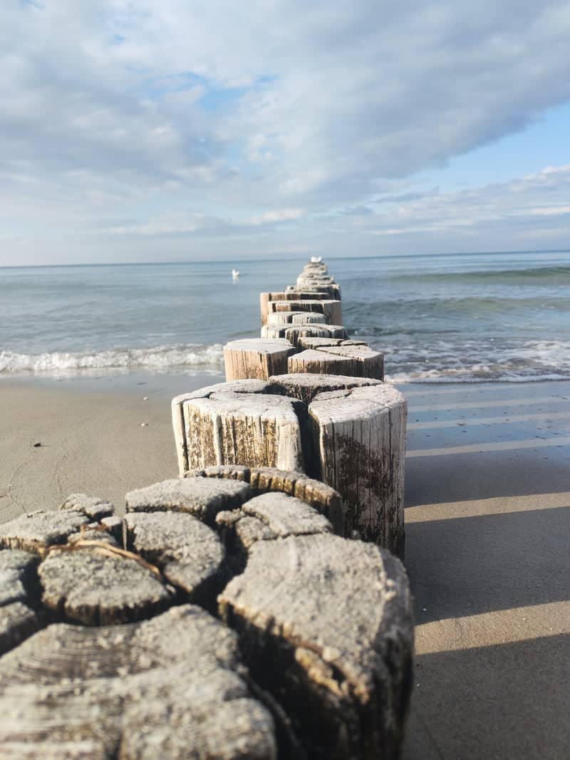 Zingst Beach Groynes - Image 1
