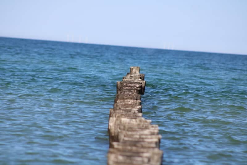 Zingst Beach Groynes - Image 1