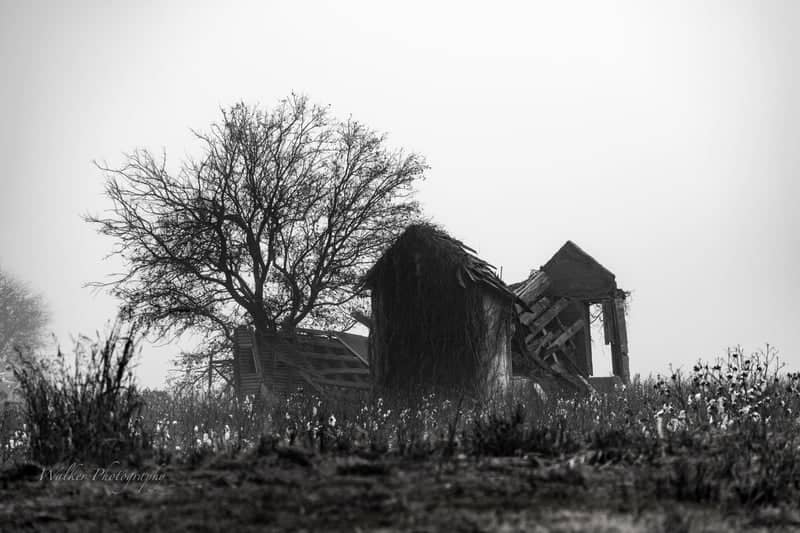 Abandoned Farmstead in Mountain Park - Image 1