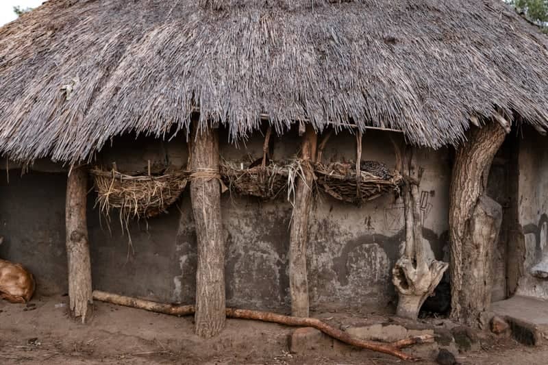 Traditional Acholi Homestead - Image 1
