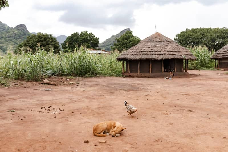 Traditional Village in Northern Uganda - Image 1