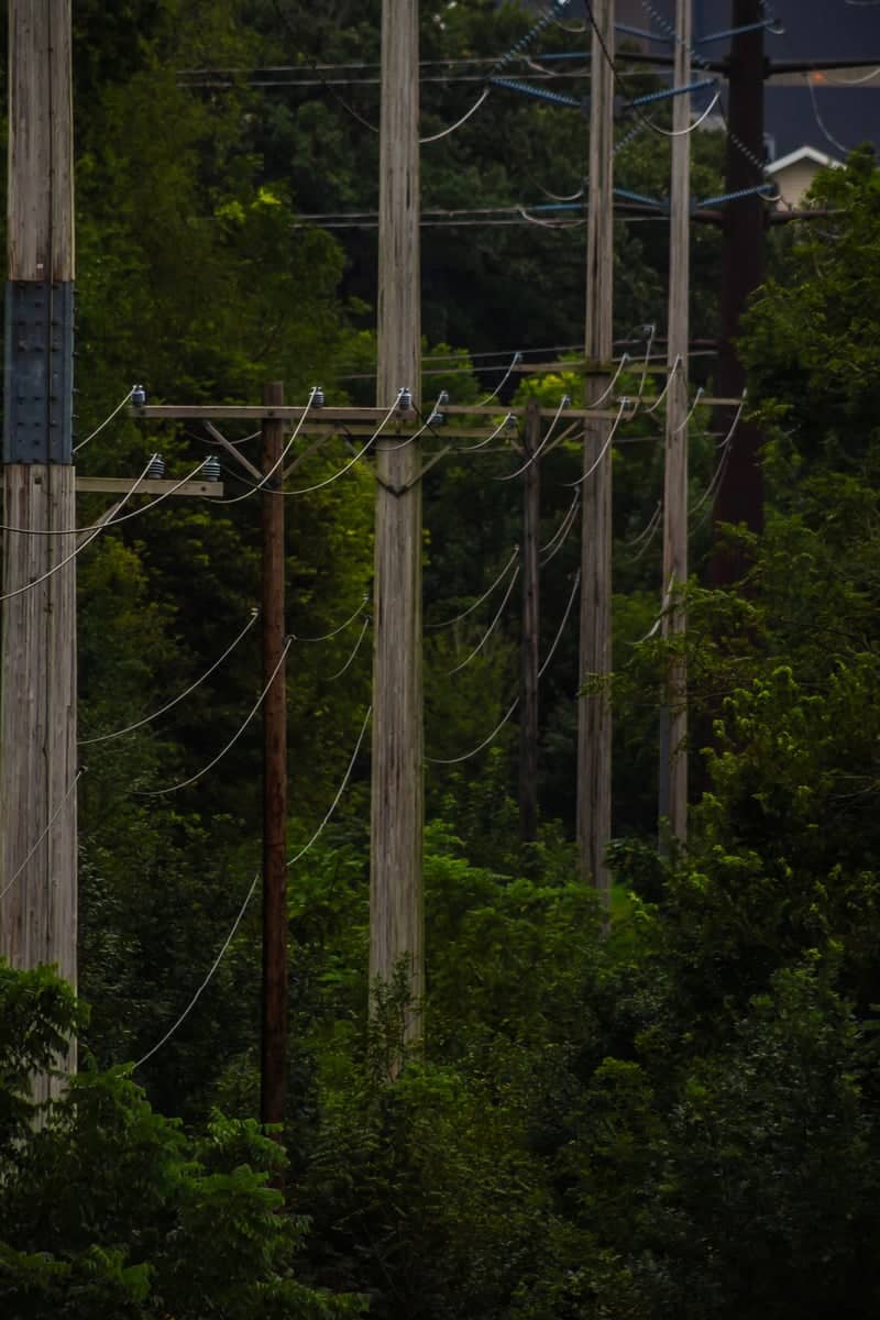 University Village Powerline Corridor - Image 1