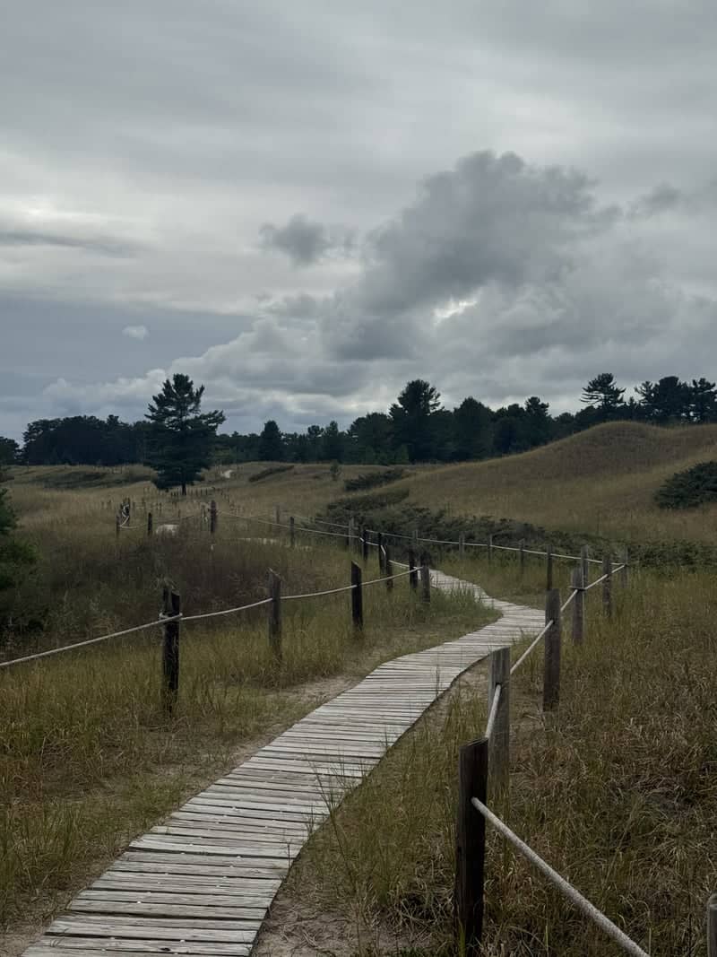 Kohler-Andrae State Park Dunes - Image 1