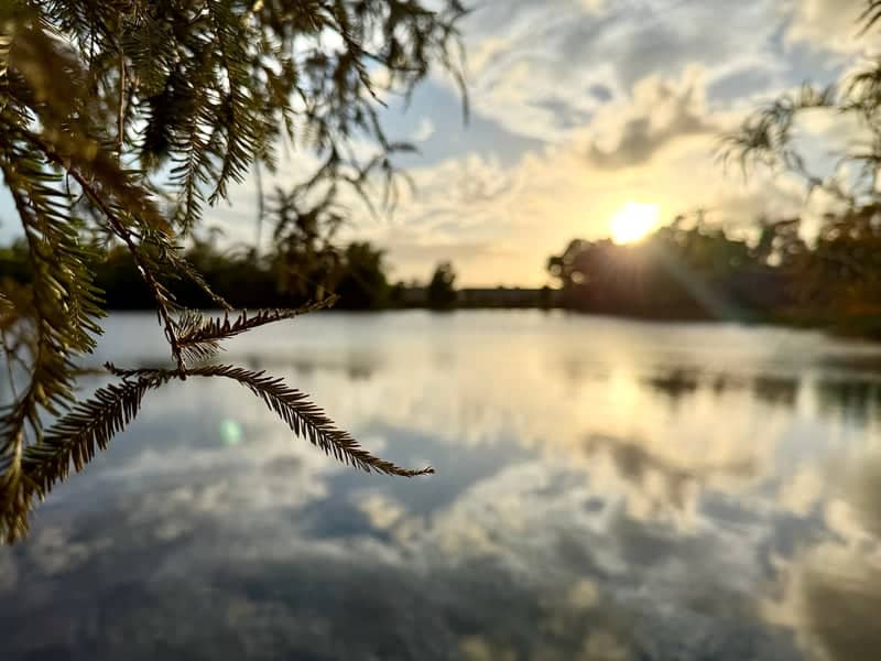 Stuart Commerce Park Pond - Image 1