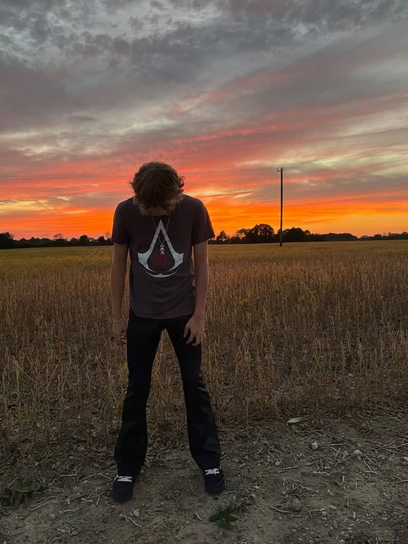 Imlay City Rural Sunset Field - Image 1